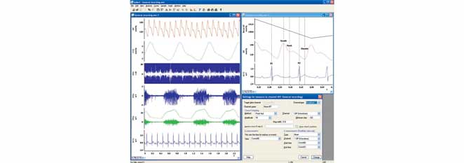 CED-Software