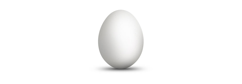 Egg, with permission by psdgraphics.com