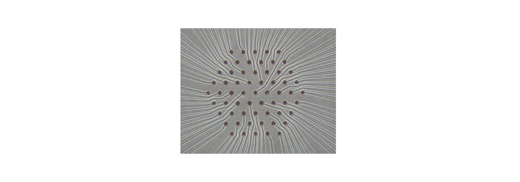 AlphaMED  Hexagonal Arrays (61 electrodes)