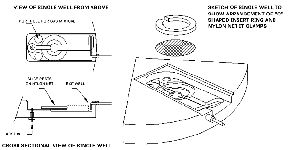 BSC-3 scheme