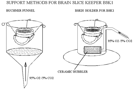 Schematic arrangement of BSK1 with Buchner funnel and approximate dimensions of BSK1