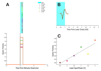 neuronal recording