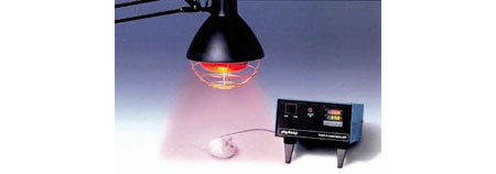 physitemp HL-1 heat lamp