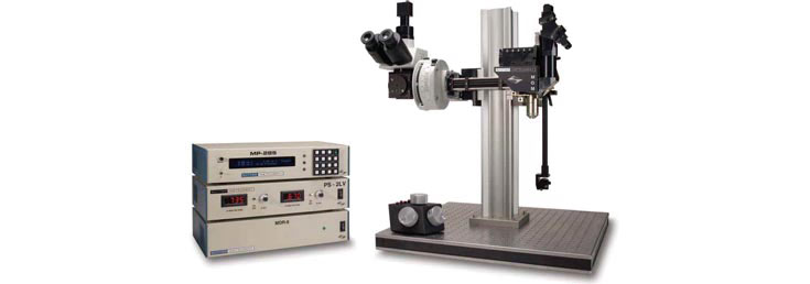 Sutter Instrument MOM twophoton microscope