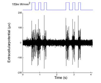 optogenetic photostimulation traces