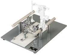 Setting Example with Stereotaxic Micromanipulator