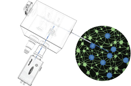 cellular-resolution optogenetics