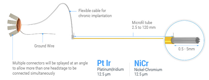 Microwire Brush Array