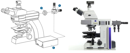Multi-Wavelength Mightex Microscope LED Light Source Configuration