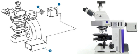 Mightex Microscope LED Light Source Configuration