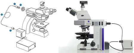 Mightex Microscope LED Light Source Configuration